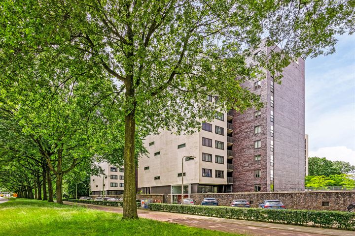 Dr. Ahaushof 51 in Tilburg foto