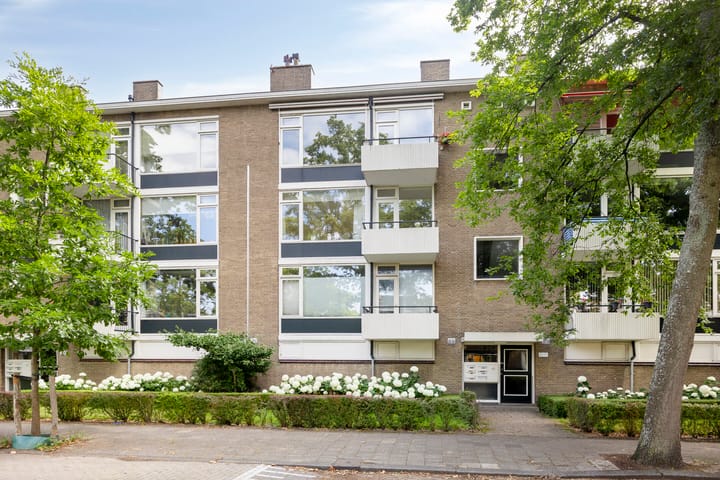 Dr Augustijnlaan 51 in Rijswijk foto