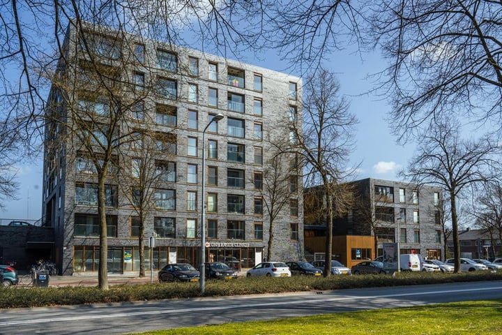 Dr Cuyperslaan 50-08 in Eindhoven foto