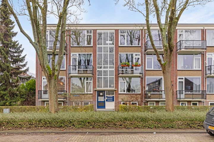 Dr. Ir. Lelystraat 9 in Ridderkerk foto