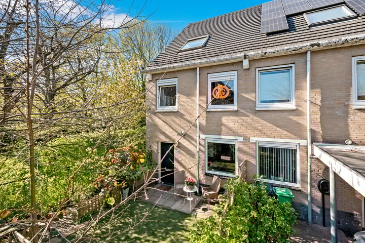 Dr. R.J. Fruinplantsoen 36 in 's-Gravenhage foto