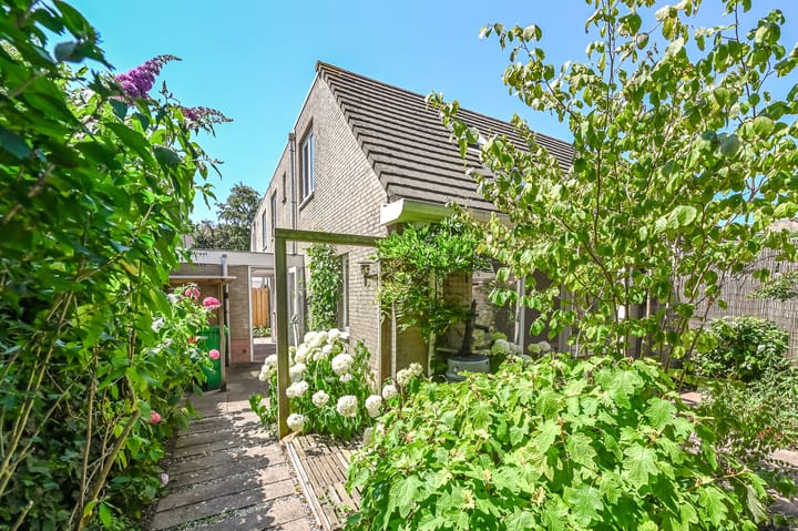 Dr. R.J. Fruinstraat 36 in 's-Gravenhage