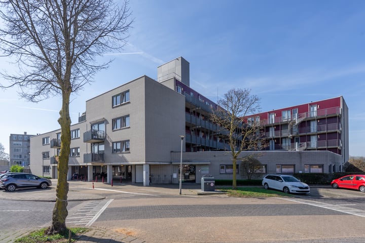 Dr. Willem Dreessingel 245 in Arnhem