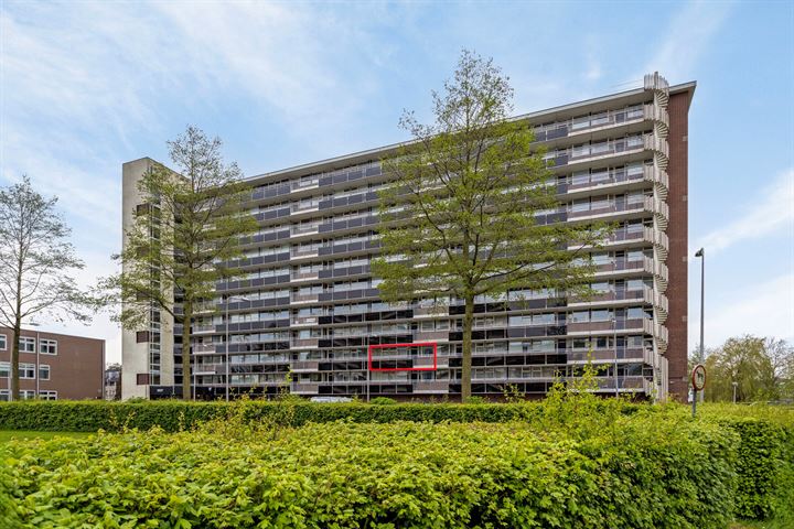 Dreef 26 in Gouda foto