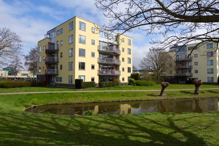 Dreeslaan 153 in Naaldwijk foto