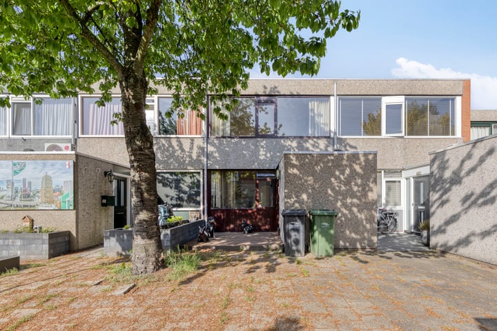 Driedistel 11 in Rotterdam foto