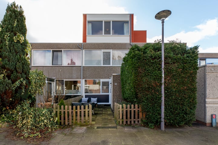 Driedistel 30 in Rotterdam foto