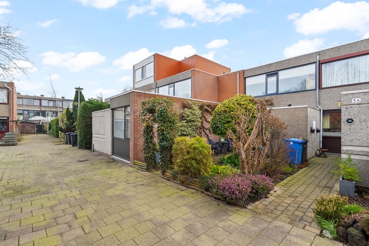 Driedistel 34 in Rotterdam foto