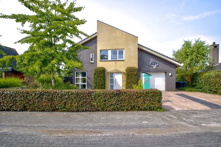 Driegraas 31 in Roden foto