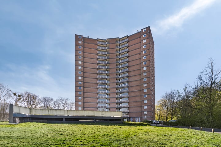 Drieoortsput 88 in Heerlen foto