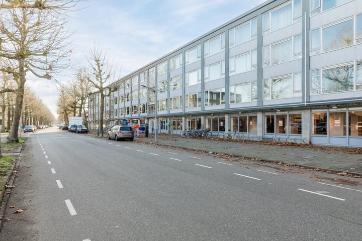 Dries 18 in Weert foto