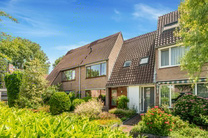 Droogbloem 10 in Castricum foto