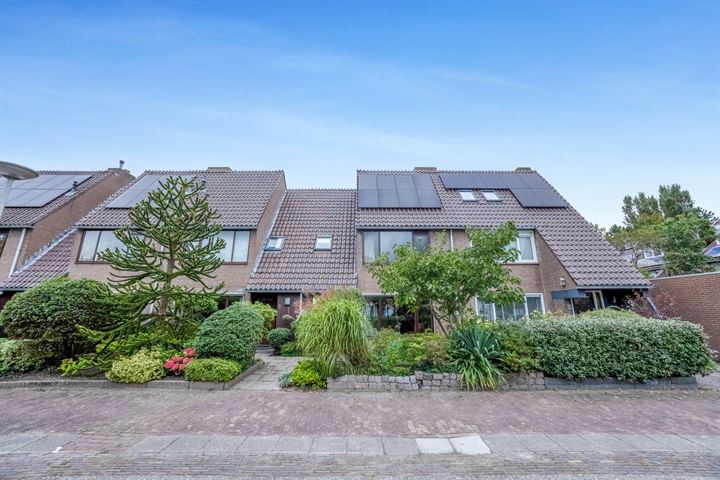 Droogbloem 7 in Castricum foto
