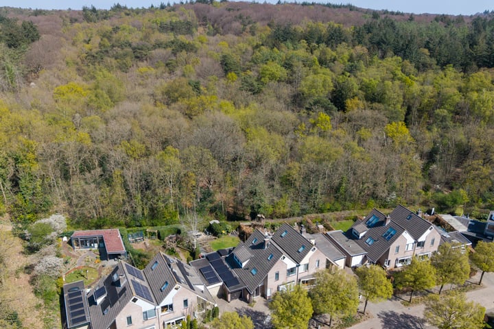Ds Keppellaan 58 in Amerongen foto