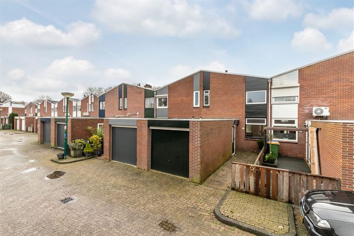 Dubbelmonde 61 in Zevenbergen foto