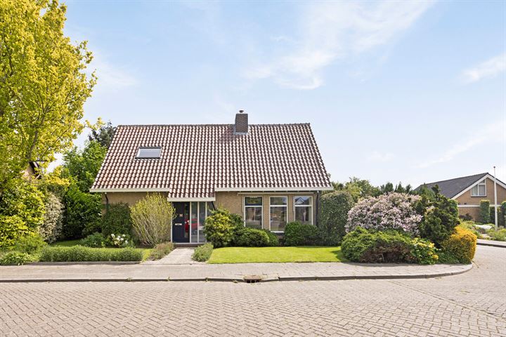 Ducdalf 11 in Lemmer foto