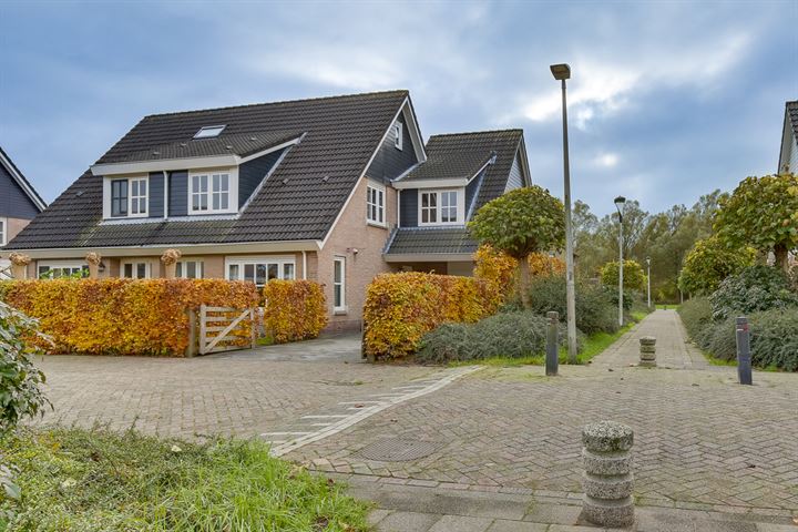 Duifkruid 27 in Swifterbant foto