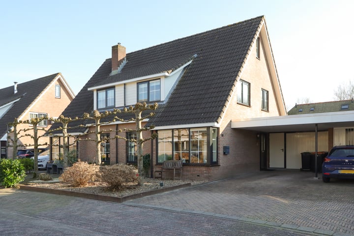 Duifkruid 35 in Swifterbant foto
