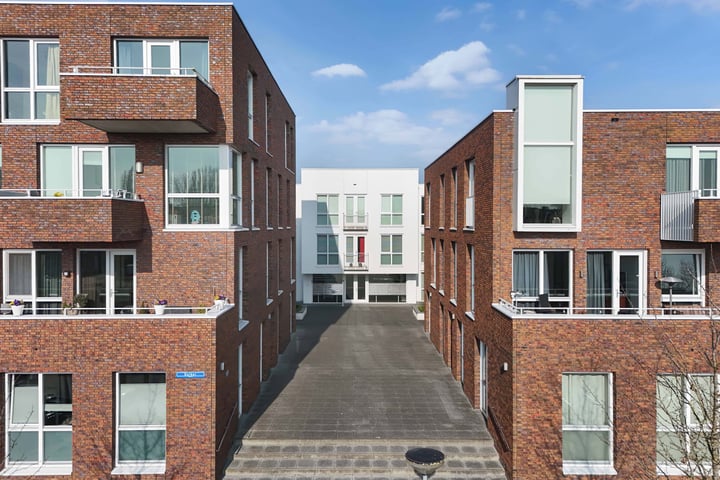 Duiker 93 in Huizen foto