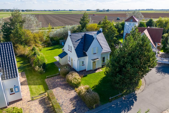 Duingras 9 in Cadzand foto