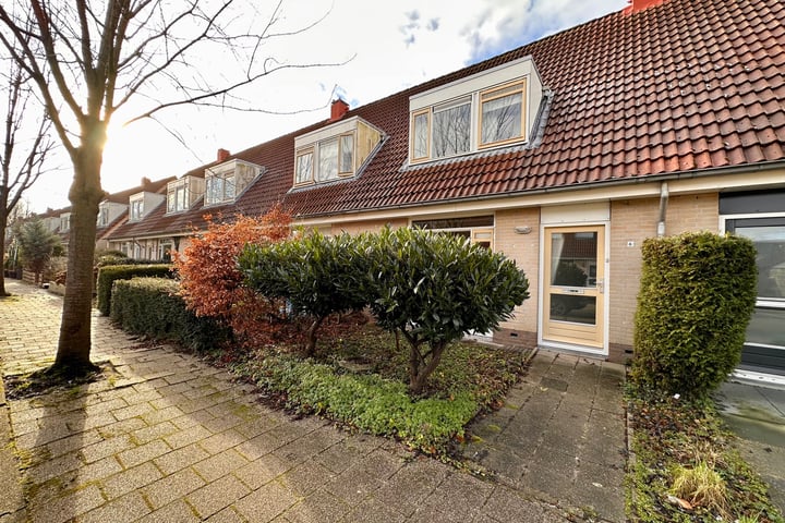 Duinroos 6 in Zeewolde foto