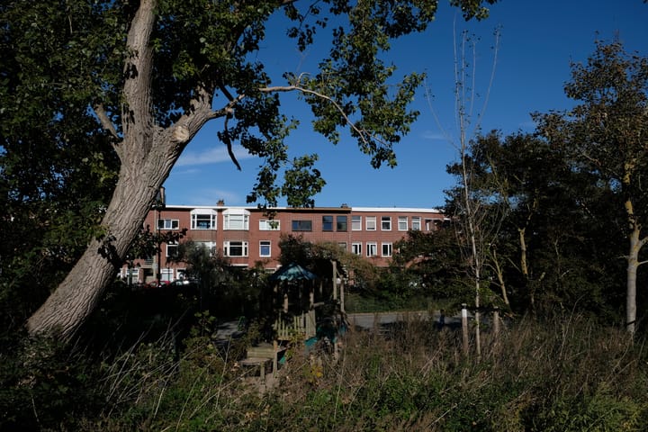 Duivelandsestraat 93 in 's-Gravenhage foto