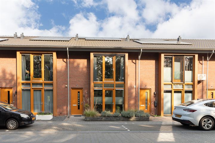 Duizendblad 5 in Voorthuizen foto