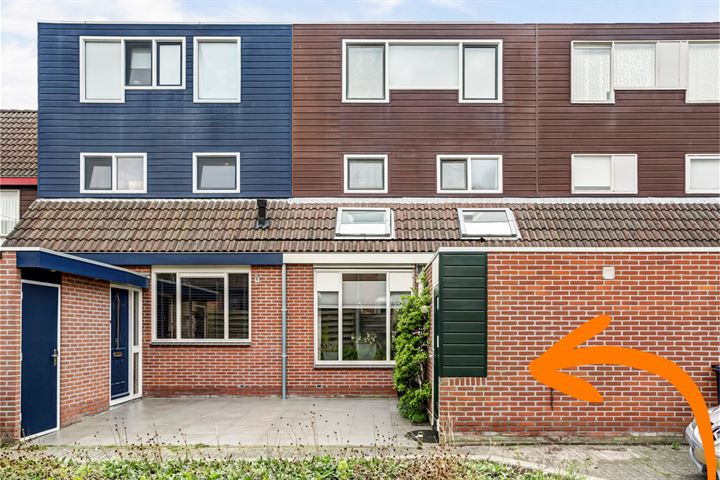 Duizendroed 10 in Enkhuizen foto