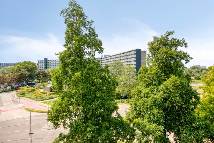 Dunantstraat 846 in Zoetermeer