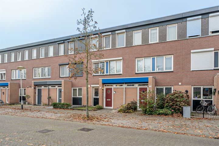 Dwergblauwtje 12 in Breda foto