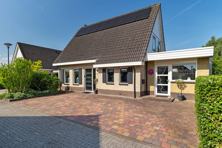 Dwergstern 3 in Emmen foto