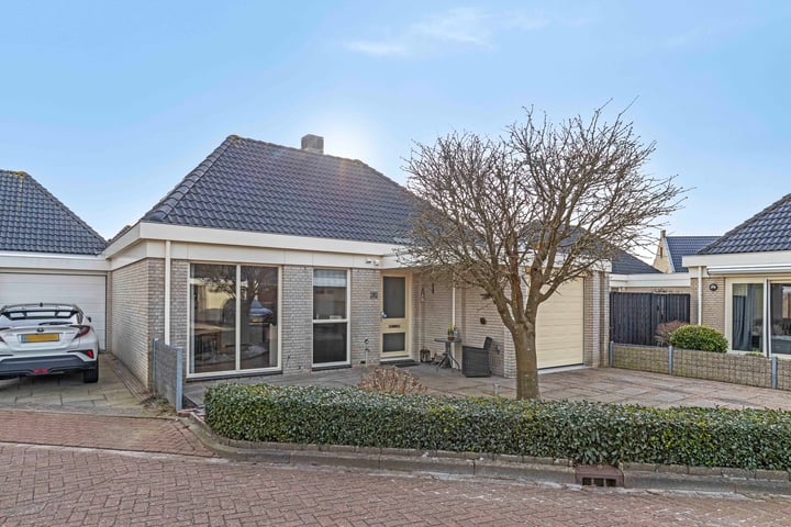 Dwergvinvis 18 in Heerhugowaard foto