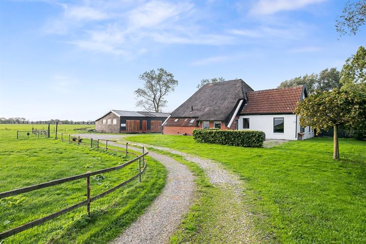 E 5 in Oostwold foto