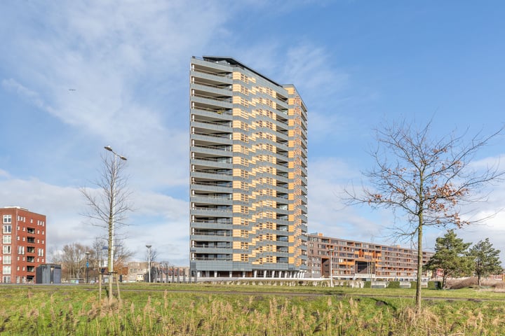Ecuplein 12 in Amsterdam foto