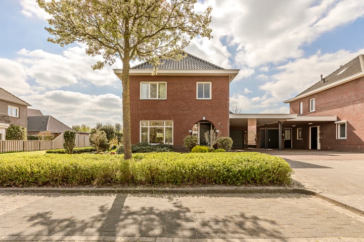 Edelhert 23 in Sint Hubert foto