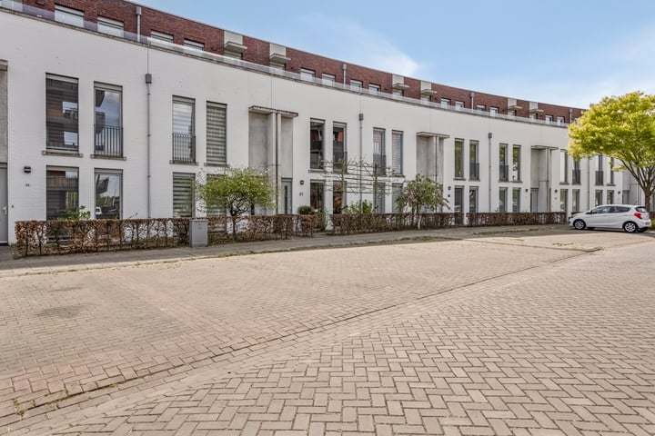 Eekhoorn 41 in Veldhoven foto