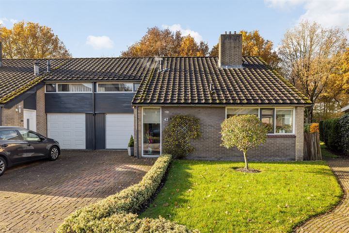 Eendenkooi 42 in Heerenveen foto