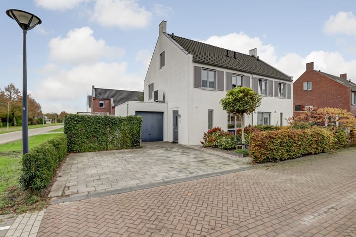 Egel 1 in Vlijmen foto