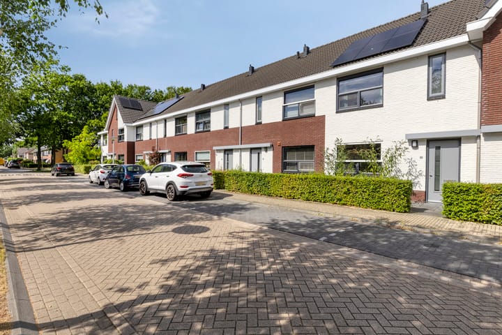 Eikebladvlinder 59 in Enschede foto
