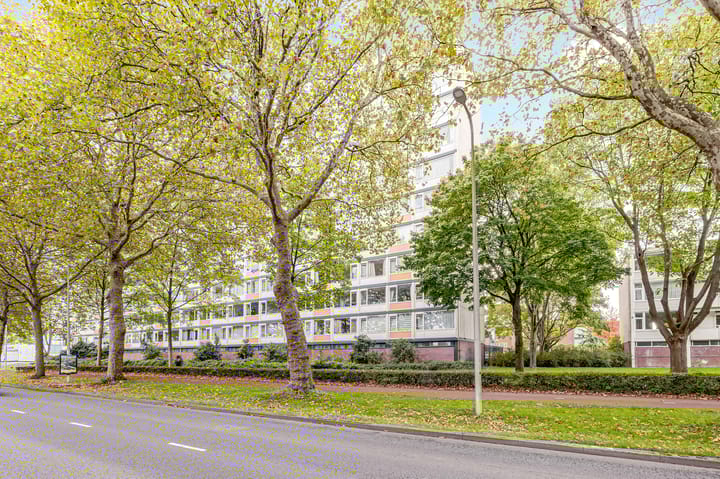 Eisenhowerlaan 300 in Utrecht foto