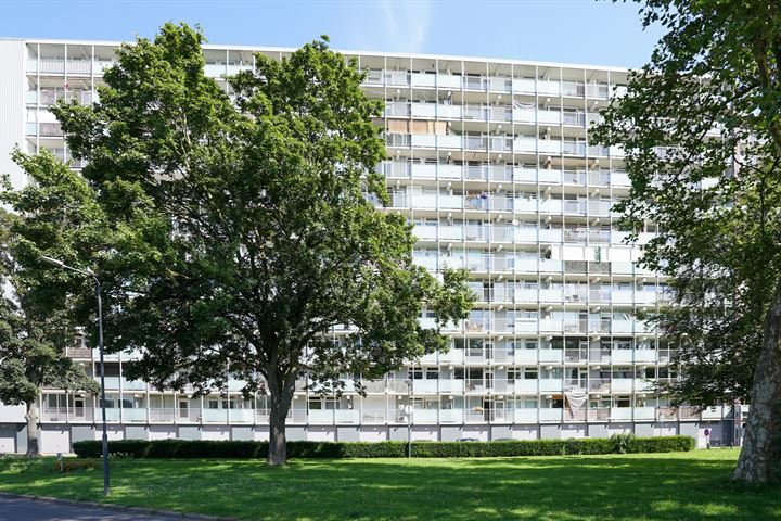 Eisenhowerstraat 590 in Sittard