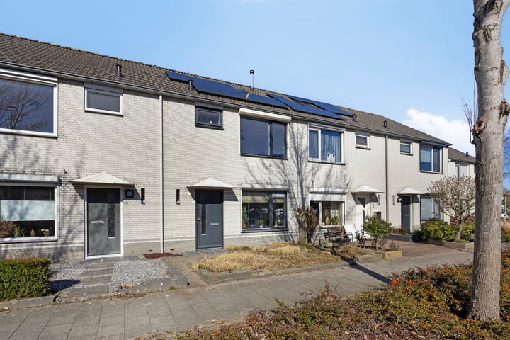 Ekster 5 in Raalte