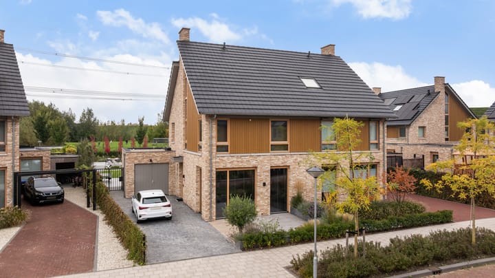 Elf Morgen 4 in Dordrecht foto