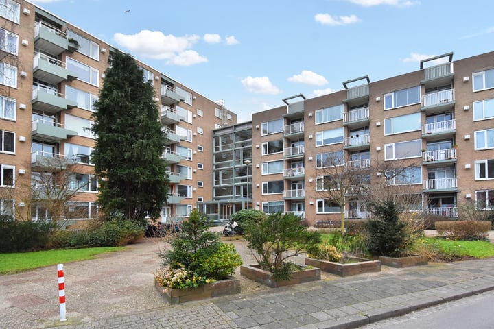Elisabeth Brugsmaweg 1-203 in 's-Gravenhage foto