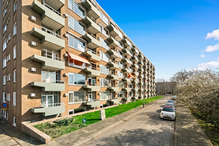 Elisabeth Brugsmaweg 1-304 in 's-Gravenhage foto