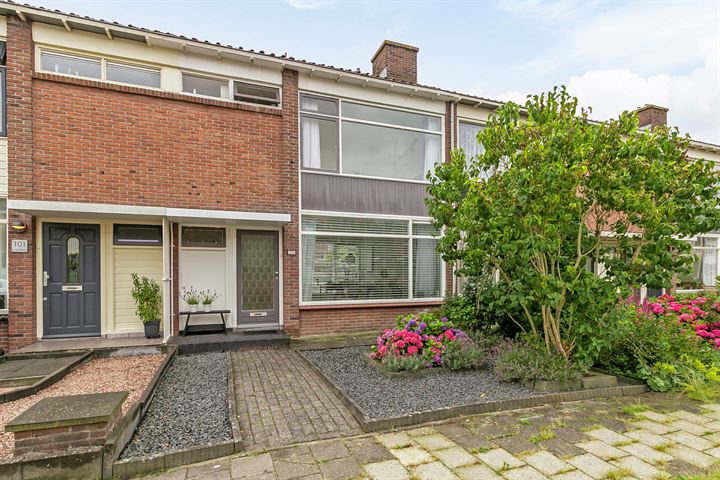 Ellen 103 in Assen foto