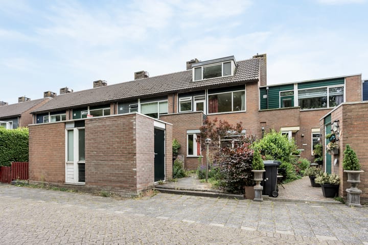 Elsbes 24 in Rotterdam foto
