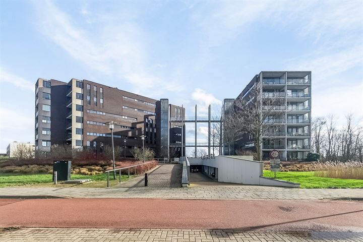 Elvis Presleylaan 29 in Goes foto