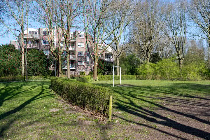 Elzekrulzoom 45 in Alphen aan den Rijn foto
