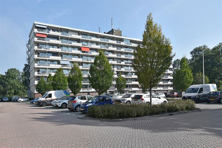 Elzenhorst 61 in Waddinxveen foto